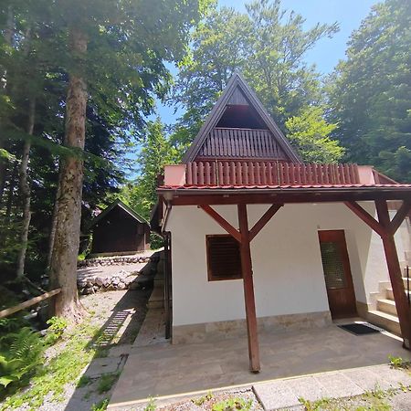 Koca Planika, Sviscaki Villa Илирска Бистрица Екстериор снимка