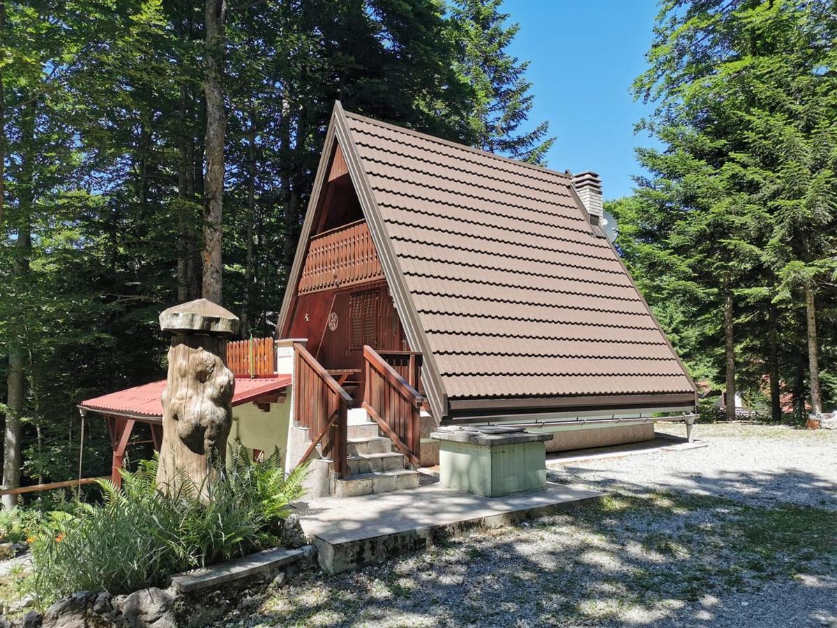 Koca Planika, Sviscaki Villa Илирска Бистрица Екстериор снимка