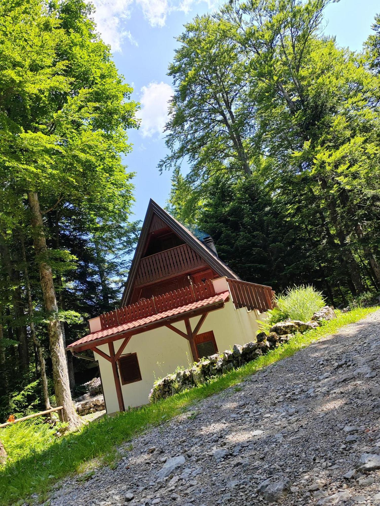 Koca Planika, Sviscaki Villa Илирска Бистрица Екстериор снимка